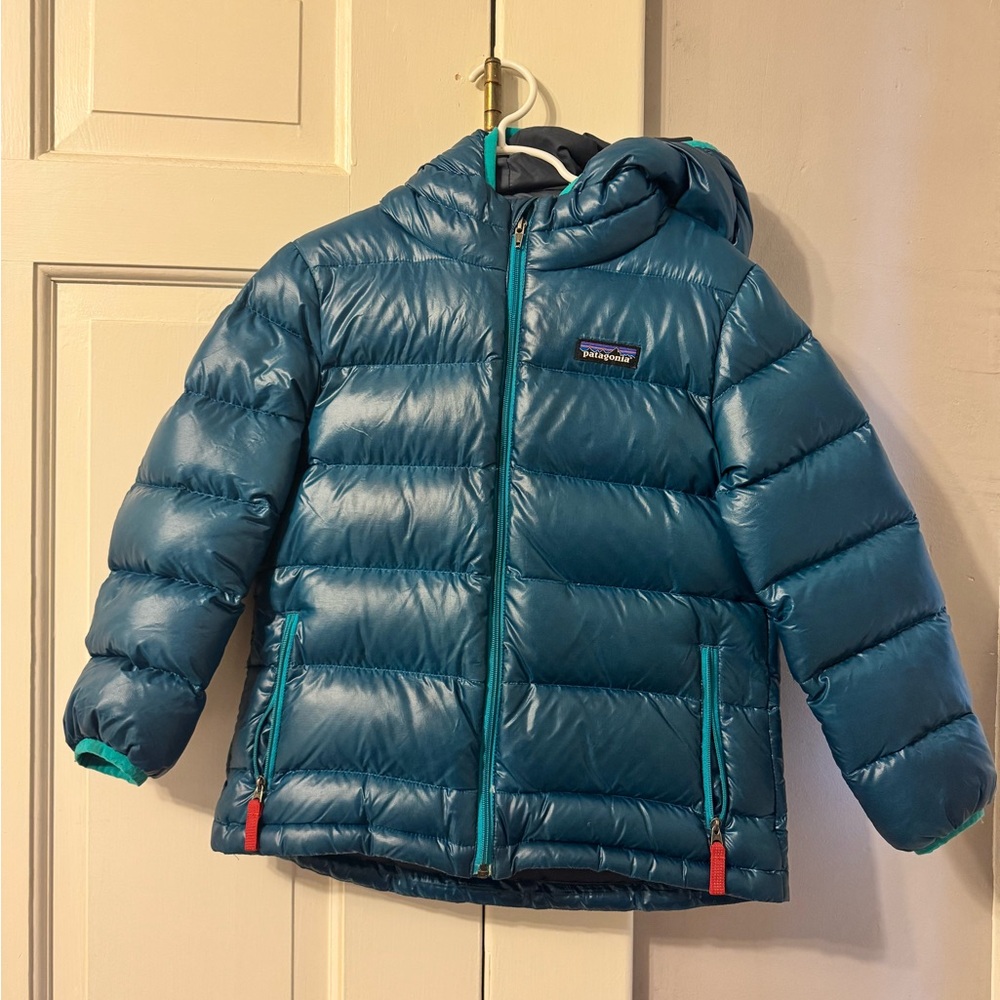 Patagonia Boys' Hi-Loft Down Sweater Hoody